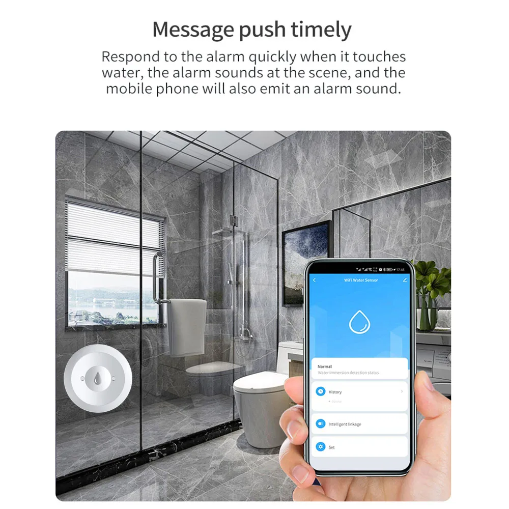 Haozee Tuya Smart ZigBee3.0 Sm - Water Alarm Sensor のレビューと価格