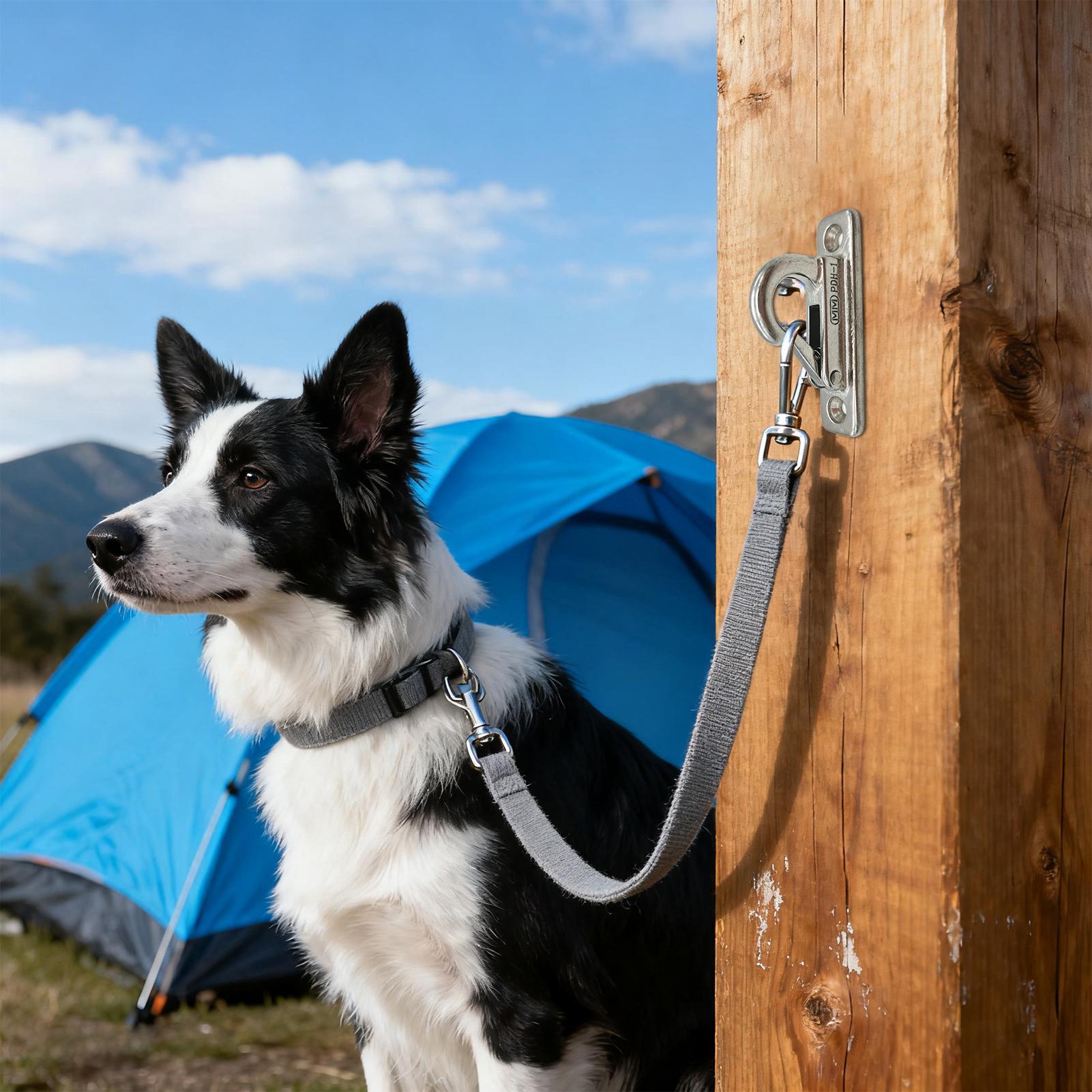 Dog Leashes Holder for Wall Pe - Security Chain Door のレビューと価格