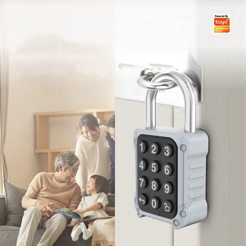 EGFirtor Tuya APP Electronic S - Lockbox Key Secure のレビューと価格