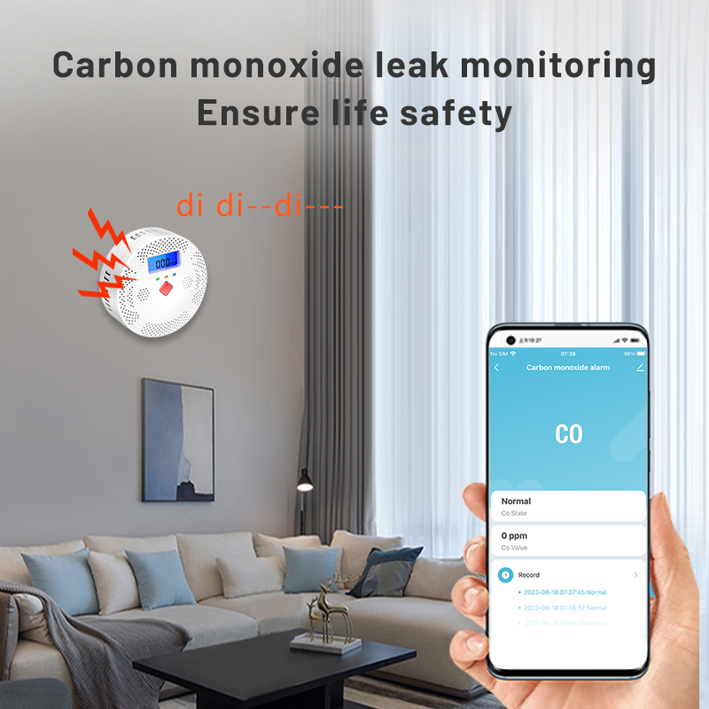 Tuya WiFi Smart Carbon Monoxid - Co Detector Plug のレビューと価格