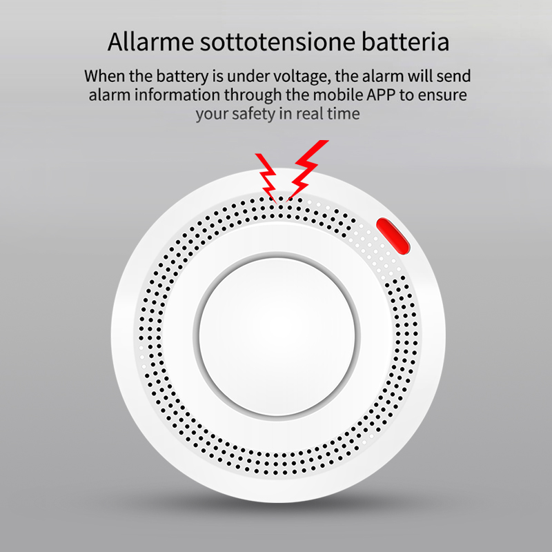 6Pack Tuya WiFi Smart Smoke Se - Smoke Detector Interconnected のレビューと価格